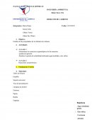Estudio de las propiedades de los hidratos de carbono.