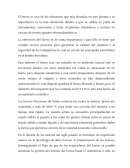 OBTENCION DEL HIERRO DESDE LA MENA HASTA LA INDUSTRIA