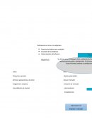 Ejemplo de un Mapa conceptual