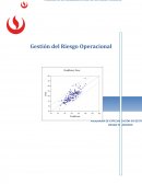 RIESGO OPERACIONAL.
