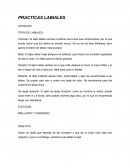PRACTICAS LABIALES.