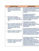Experiencias de 5 grado