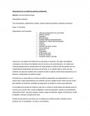 Informe medicina mujer