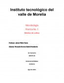 La mejor Unidad 4 microbiologia