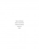 Objetivos del marketing - Fundamentos del Marketing