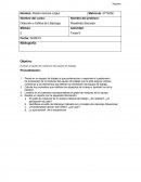 Dirección y liderazgo.