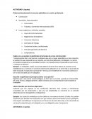 Ordena jerárquicamente las normas aplicables en tu sector profesional