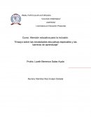 Ensayo sobre las necesidades educativas especiales y las barreras de aprendizaje