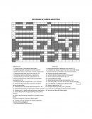 UN CRUCIGRAMA DE CARRERA MAGISTERIAL