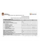 LINEAS DE TRABAJO PARA EL PROMOTOR DE EDUCACION FISICA.