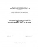 MONITOREO O SEGUIMIENTO AMBIENTAL PARTICIPATIVO (Proyecto fabrica socialista de cepillos de cinta PET reciclada)