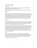 El niño de la navidad.