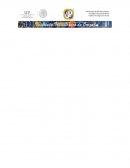 Accidentes laborales dentro de las industrias y las empresas