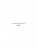 PROYECTO FINAL FUNDAMENTOS DE LA PREVENCION