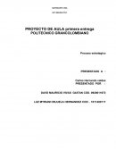 PROCESO ESTRATEGICO NUTRIGURTH LTDA