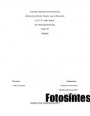 La Fotosíntesis Reacciones dependientes de luz