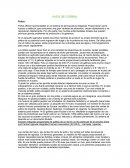 AVES DE CORRAL. Pollos