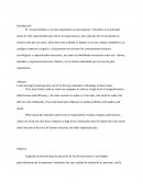 Proceso de productividad