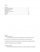 Planeacion empresa laborarío de control de materiales S.A DE C.V (LCM)