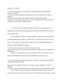 Rinconete y Cortadillo (preguntas sobre la novela)