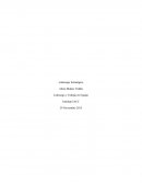 Liderazgo Estratégico. Liderazgo y Trabajo en Equipo.