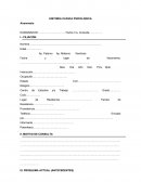 Como es que se da un a Historia clinica