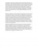 Ensayo: La percepción, Motivación, Imaginación