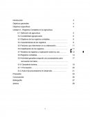 Contabilidad Agraria