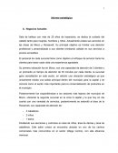 Informe estrategico. Negocios Actuales