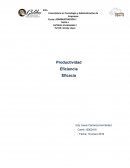 Productividad Eficiencia Eficacia