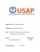 Proyecto Final- Manual de Higiene y Seguridad. Industrial en la empresa Diproexsa