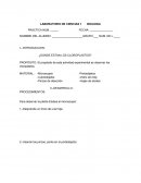 LABORATORIO DE CIENCIAS - BIOLOGIA