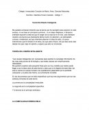 TEORIA DEL DISEÑO INTELIGENTE