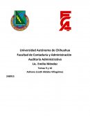 Auditoria Interna Pfizer