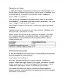 Distribución de la planta.