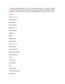 La Anatomia Funcional