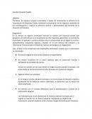 Incidencias Catastrales Ejercicio