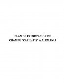 PLAN DE EXPORTACION DE CHAMPU “CAPILATIS” A ALEMANIA