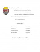 Beneficios y Riesgo en el uso de las Tarjetas de Crédito en la población n de Honduras durante el periodo 2012-2013
