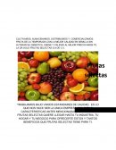 FRUTA DE LA TEMPORADA CON LA MEJOR CALIDAD EN SEMILLA SIN ALTERAR SU GENETICA, IGIENE Y CALIDAD AL MEJOR PRECIO NADIE TE LA DÁ SOLO FRUTAS SELECTAS S.A DE C.V.
