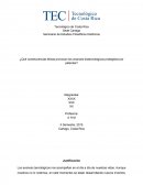 ¿Qué consecuencias éticas provocan los avances biotecnológicos protegidos por patentes?