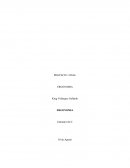 PROYECTO FINAL - ERGONOMIA