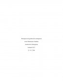 Principios de la gestión de la emergencia. Gestión de le Emergencia