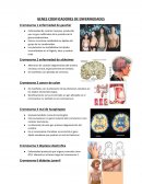 GENES CODIFICADORES DE ENFERMEDADES