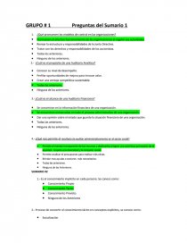 Auditoria Preguntas del Sumario. Página 1