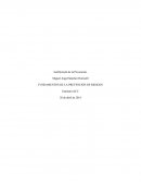 Justificación de la Prevención de riesgos