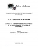 EXAMEN DE AUDITORIA DE CONTROL INTERNO EN LA MUNICIPALIDAD PROVINCIAL DE FERREÑAFE