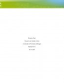Gestión de la Prevención de Riesgos . La Seguridad, salud e higiene industrial y metodología