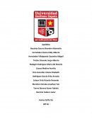 Profesion y sociedad