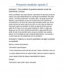 Proyecto modular - Actividad